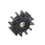 Impeller - sherwood